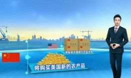 美方媒体爆料新闻视频,最新新闻视频揭秘事件内幕