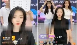 爆料醉酒全过程视频大全,揭秘酒精的魔力与影响