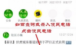 柴油最新爆料信息查询电话,电话爆料揭示行业新动向