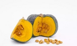 吃瓜真好吃视频下载免费,免费下载“吃瓜真好吃”视频，尽享美味瞬间